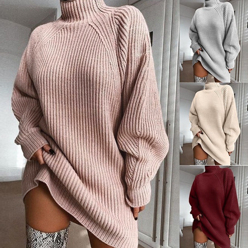 Turtle Neck Sweater Dress