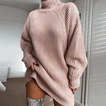Turtle Neck Sweater Dress