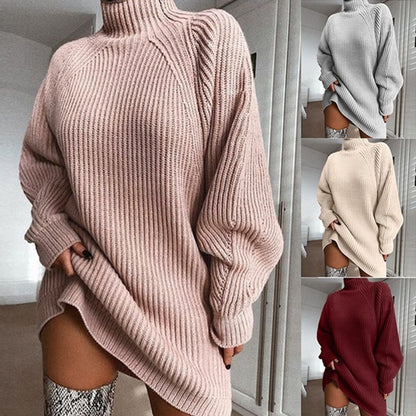Turtle Neck Sweater Dress