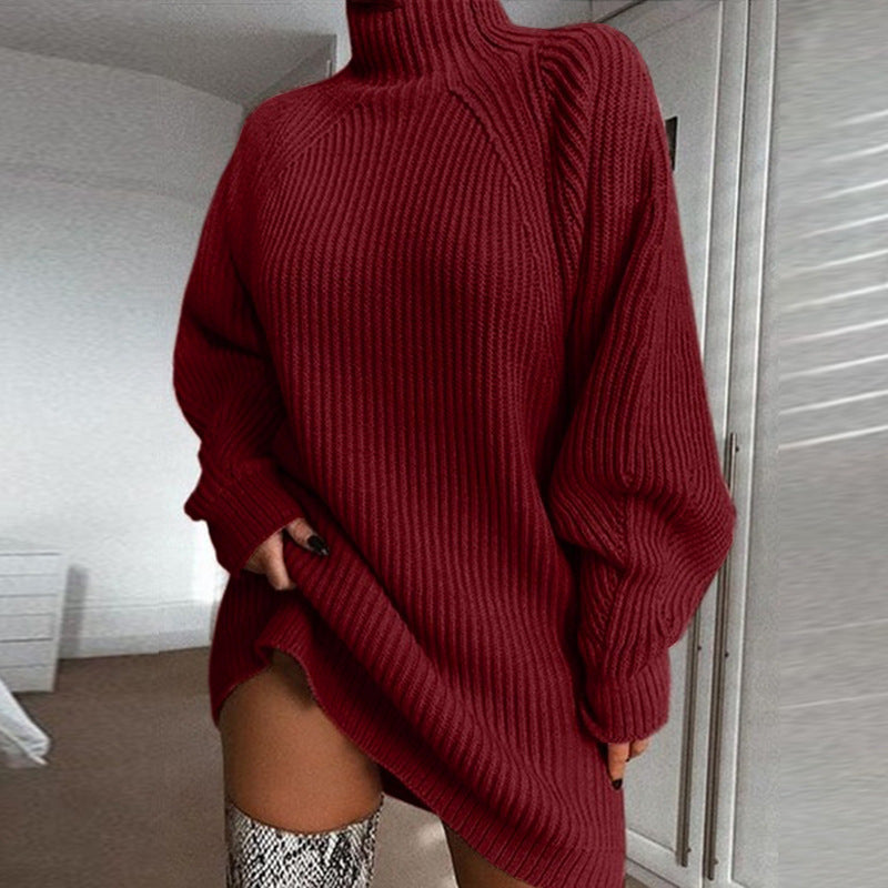 Turtle Neck Sweater Dress