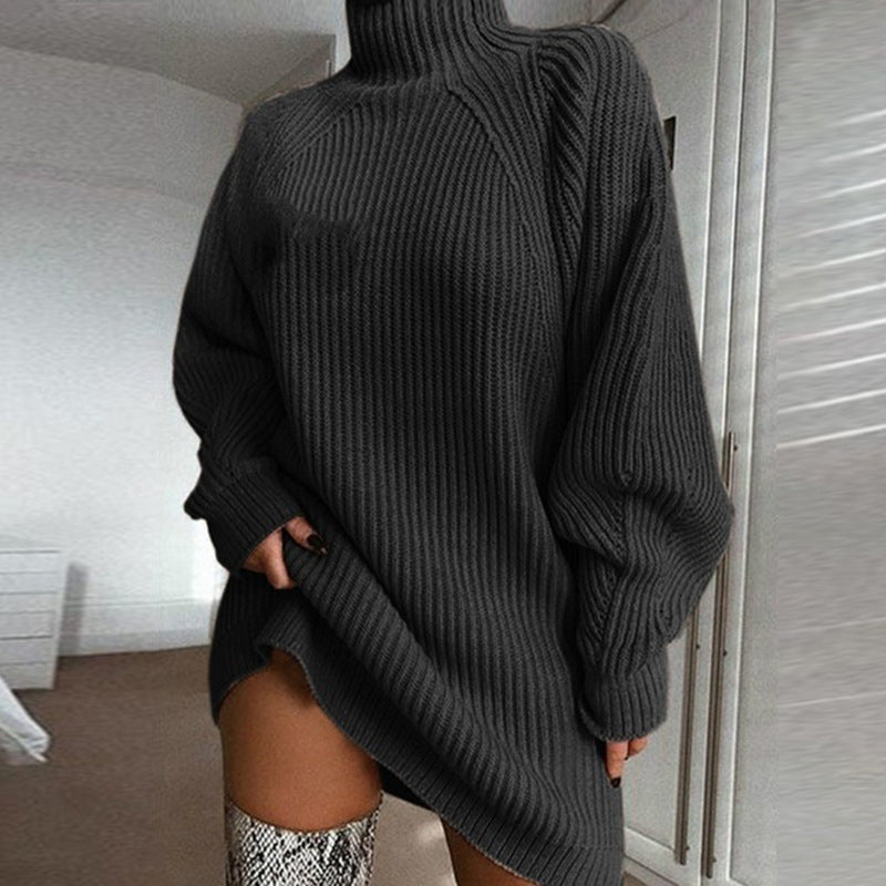 Turtle Neck Sweater Dress