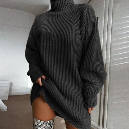 Turtle Neck Sweater Dress