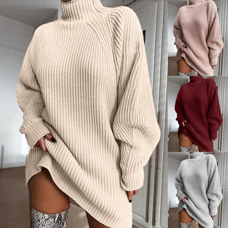 Turtle Neck Sweater Dress